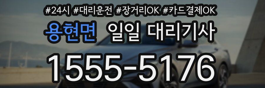 용현면 일일 대리기사