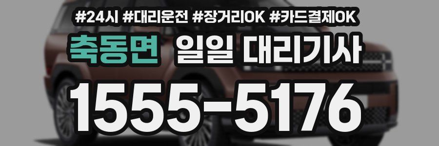 축동면 일일 대리기사