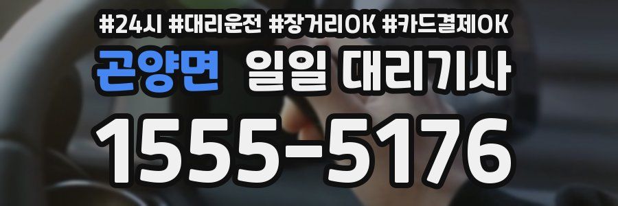 곤양면 일일 대리기사