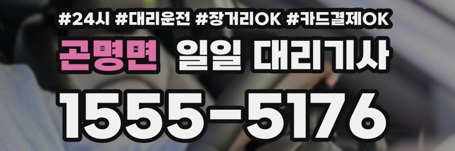 곤명면 일일 대리기사