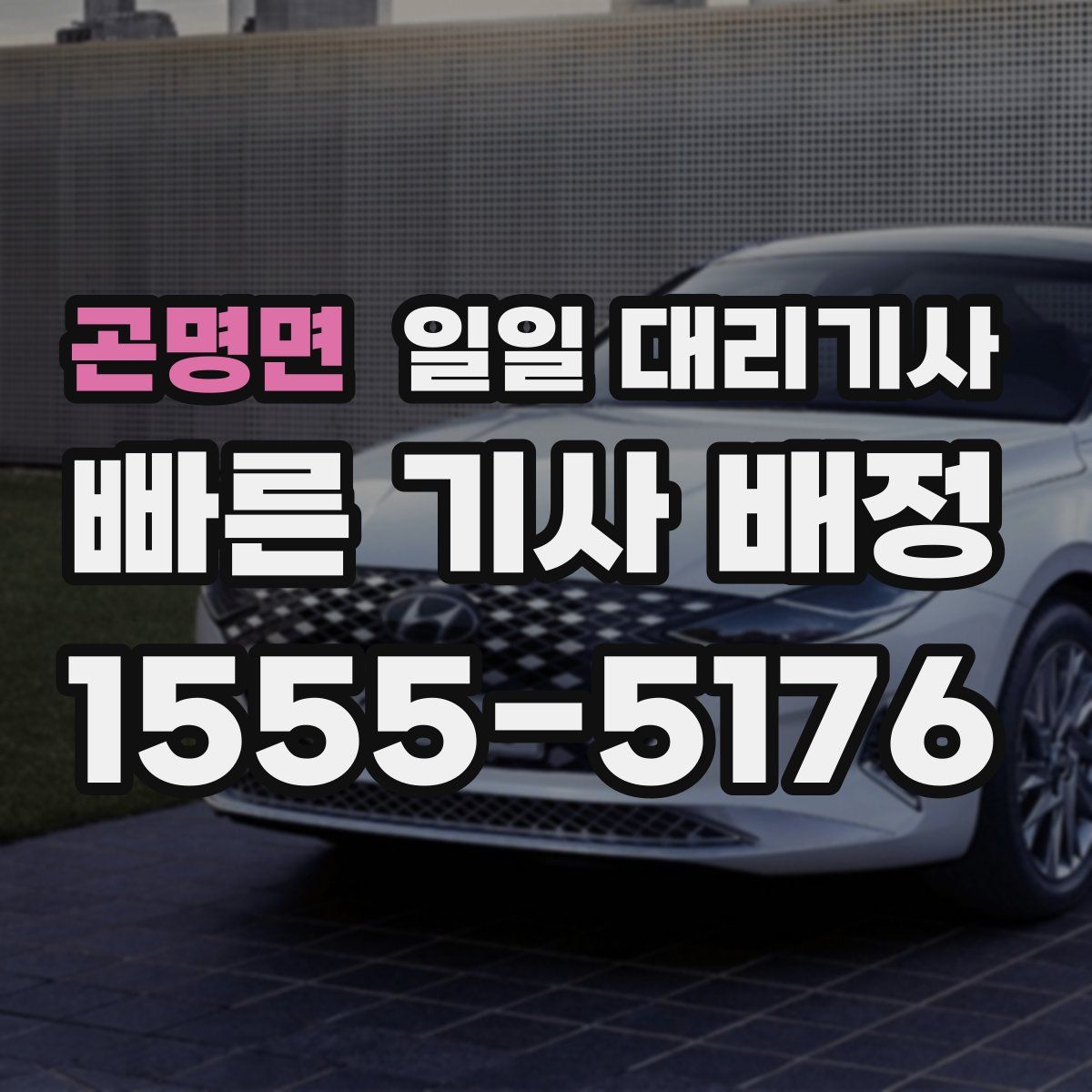 곤명면 일일 대리기사