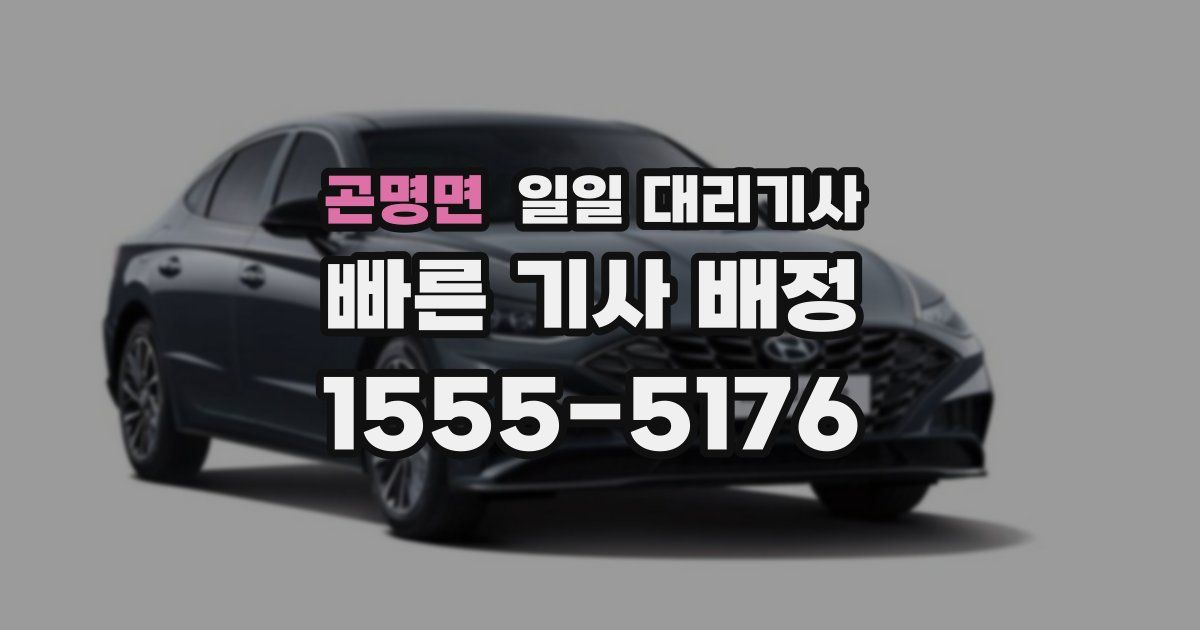 곤명면 일일 대리기사