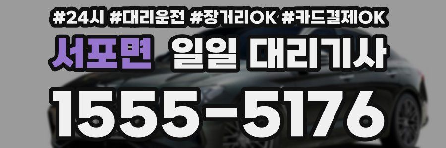 서포면 일일 대리기사