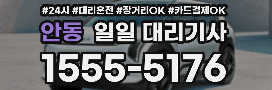 안동 일일 대리기사