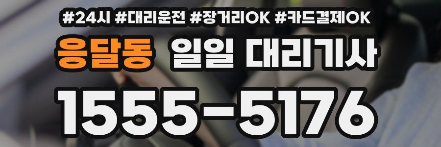 응달동 일일 대리기사