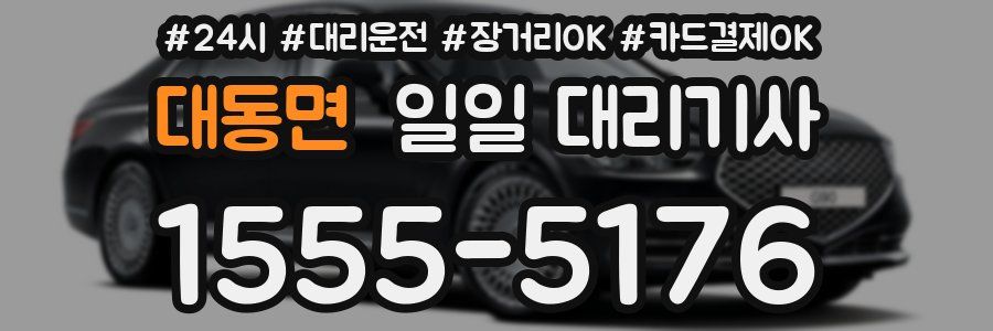 대동면 일일 대리기사