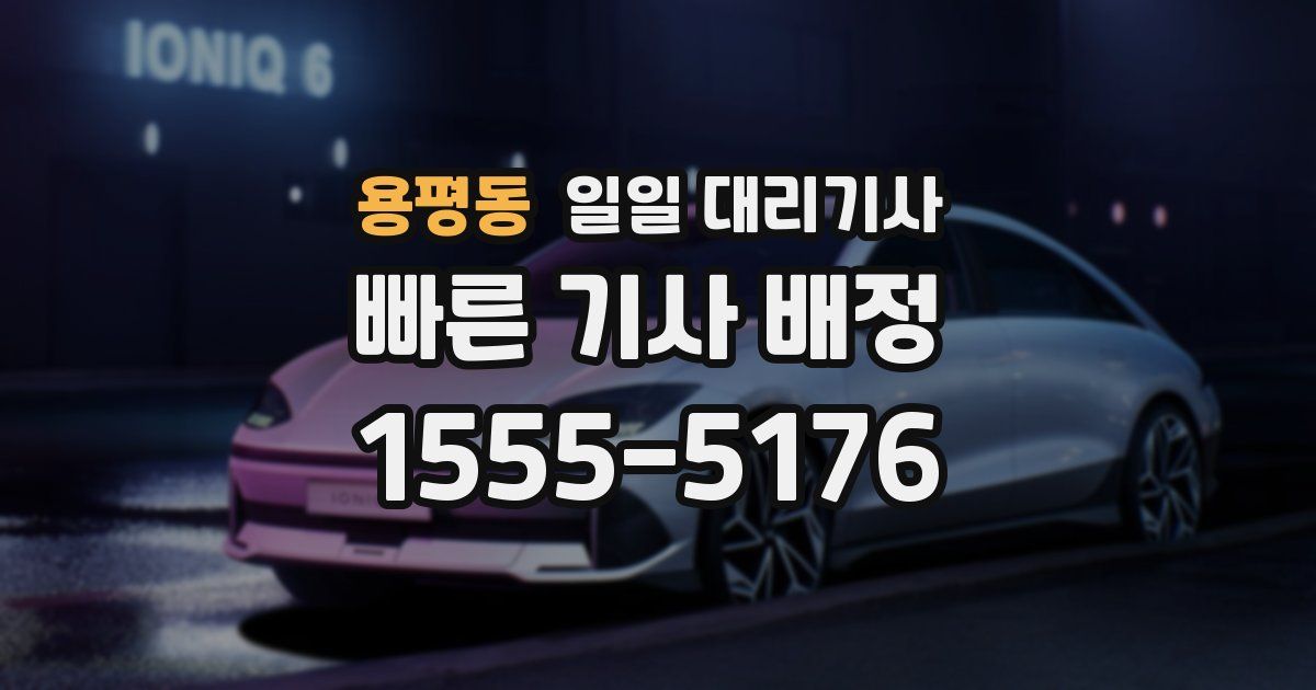 용평동 일일 대리기사
