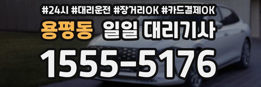 용평동 일일 대리기사