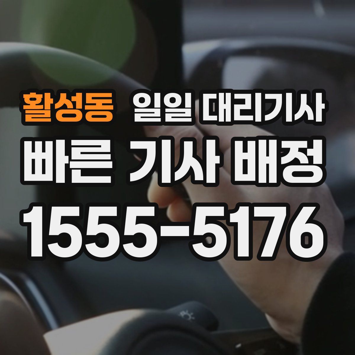 활성동 일일 대리기사