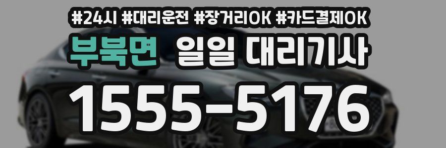 부북면 일일 대리기사