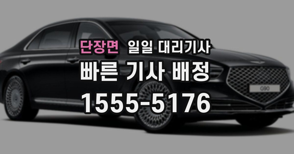 단장면 일일 대리기사