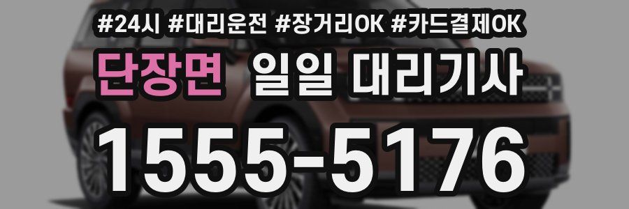단장면 일일 대리기사