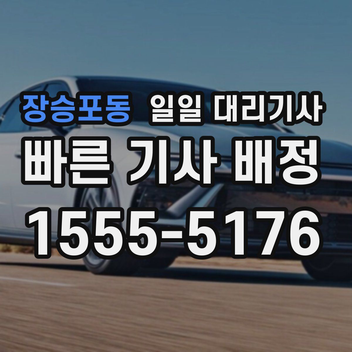 장승포동 일일 대리기사