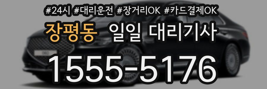 장평동 일일 대리기사