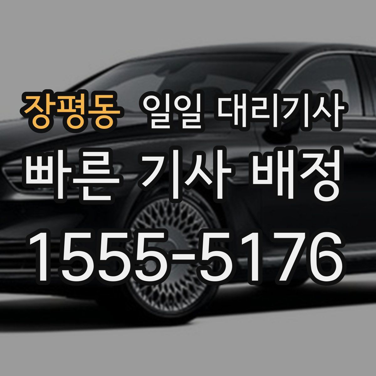 장평동 일일 대리기사