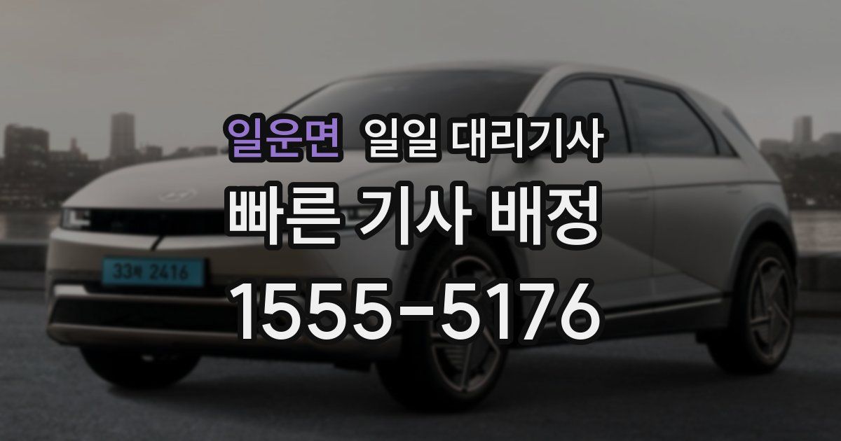일운면 일일 대리기사