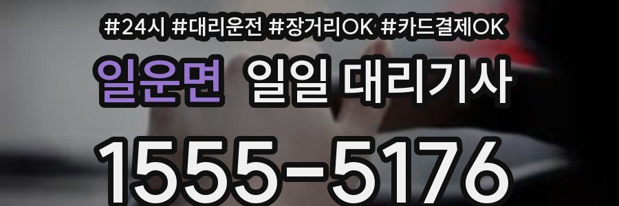 일운면 일일 대리기사