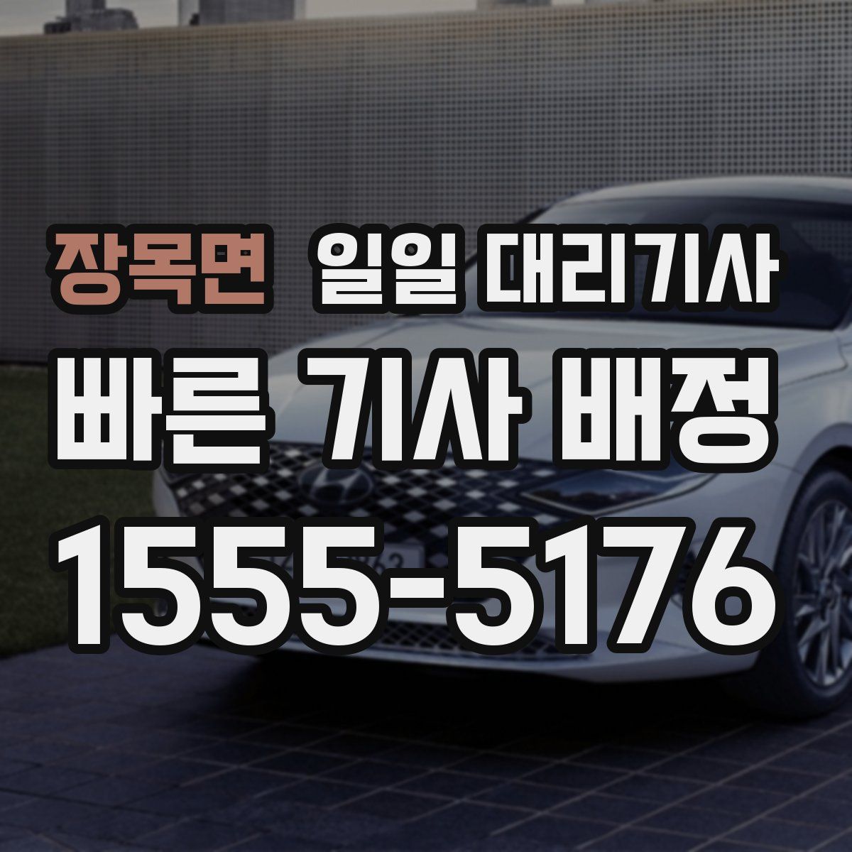 장목면 일일 대리기사