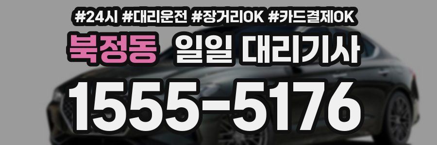 북정동 일일 대리기사
