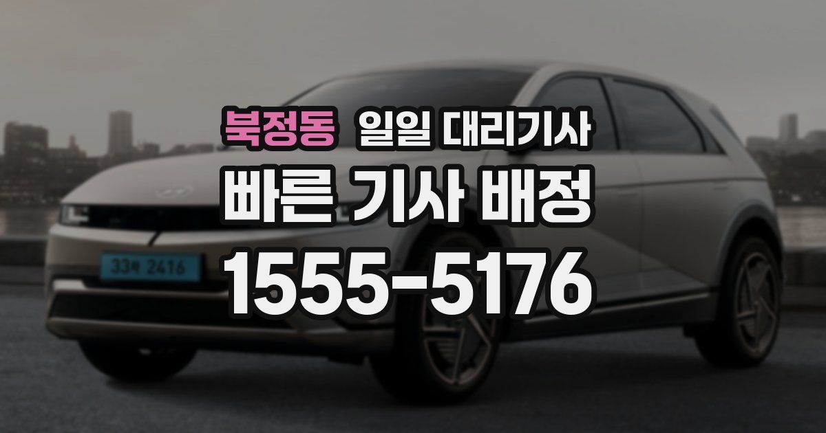 북정동 일일 대리기사