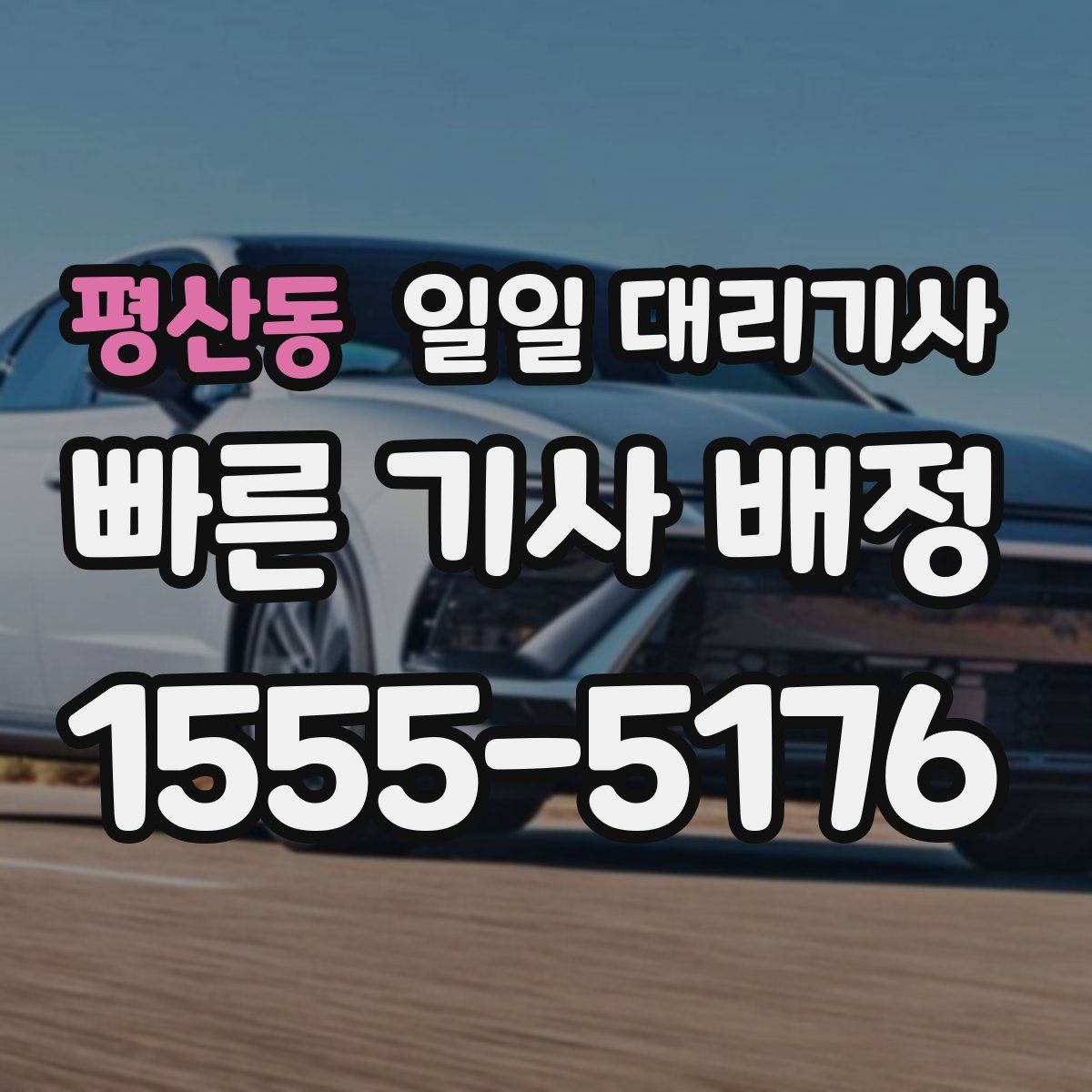 평산동 일일 대리기사