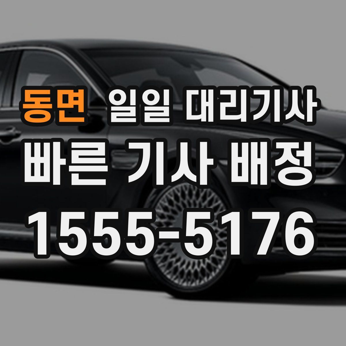 동면 일일 대리기사