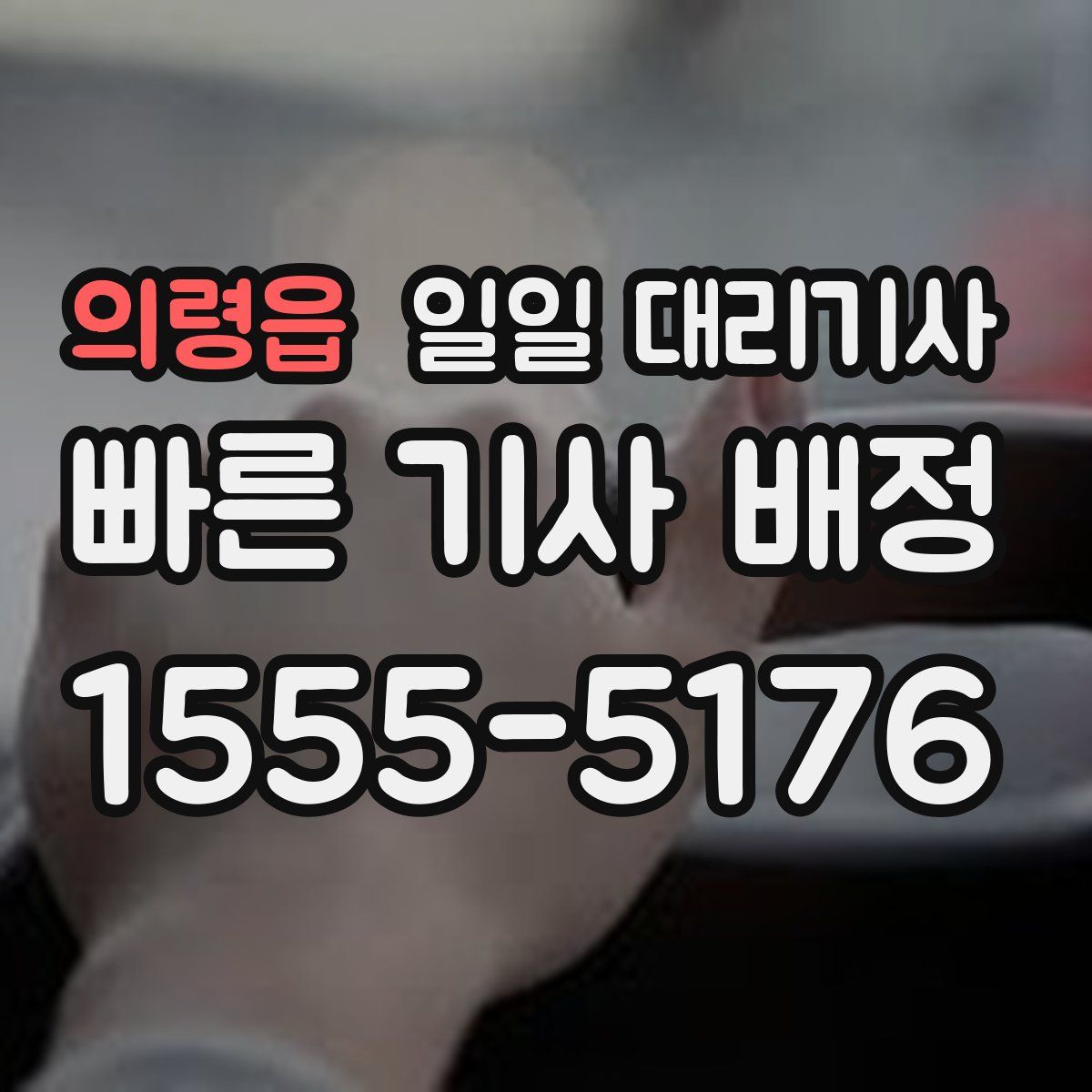 의령읍 일일 대리기사