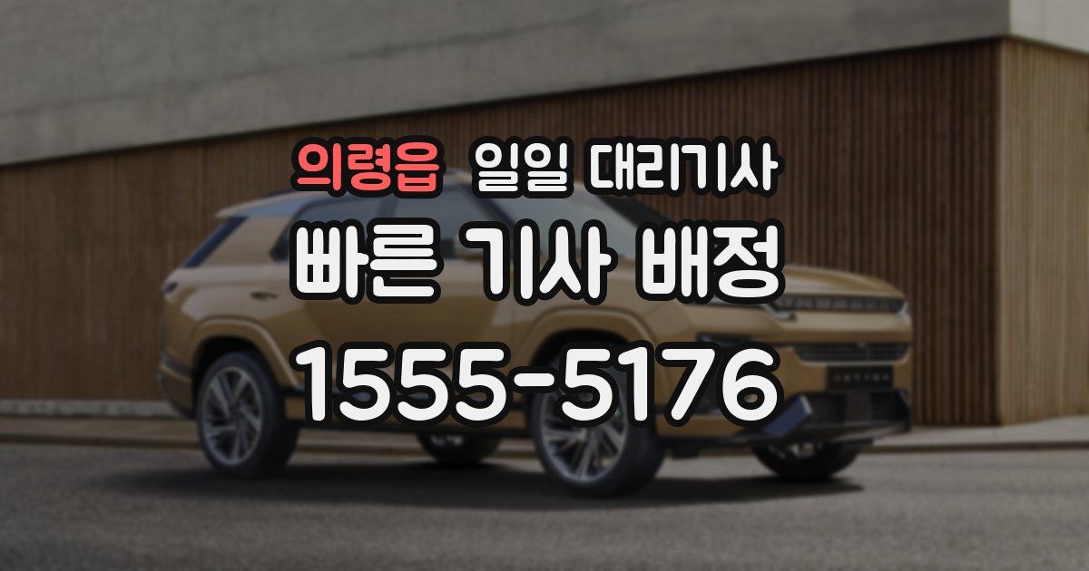 의령읍 일일 대리기사