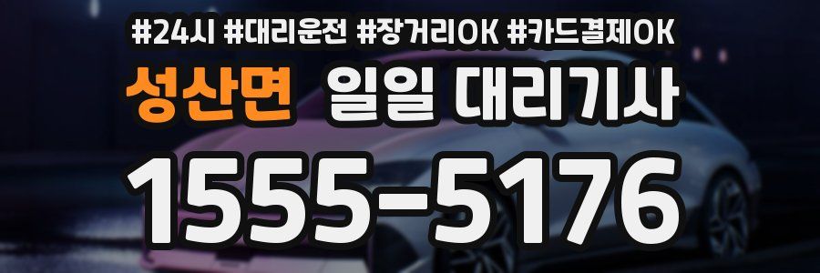 성산면 일일 대리기사