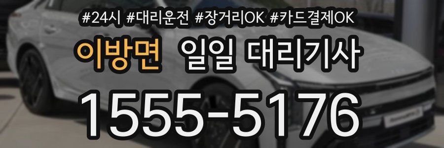 이방면 일일 대리기사