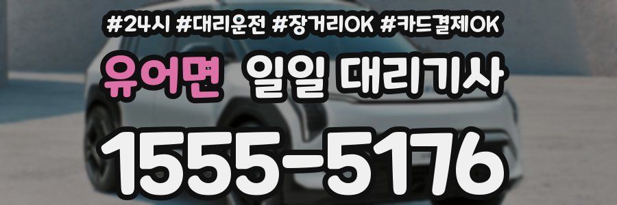유어면 일일 대리기사