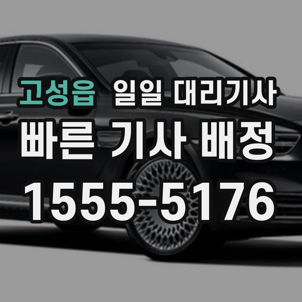 고성읍 일일 대리기사