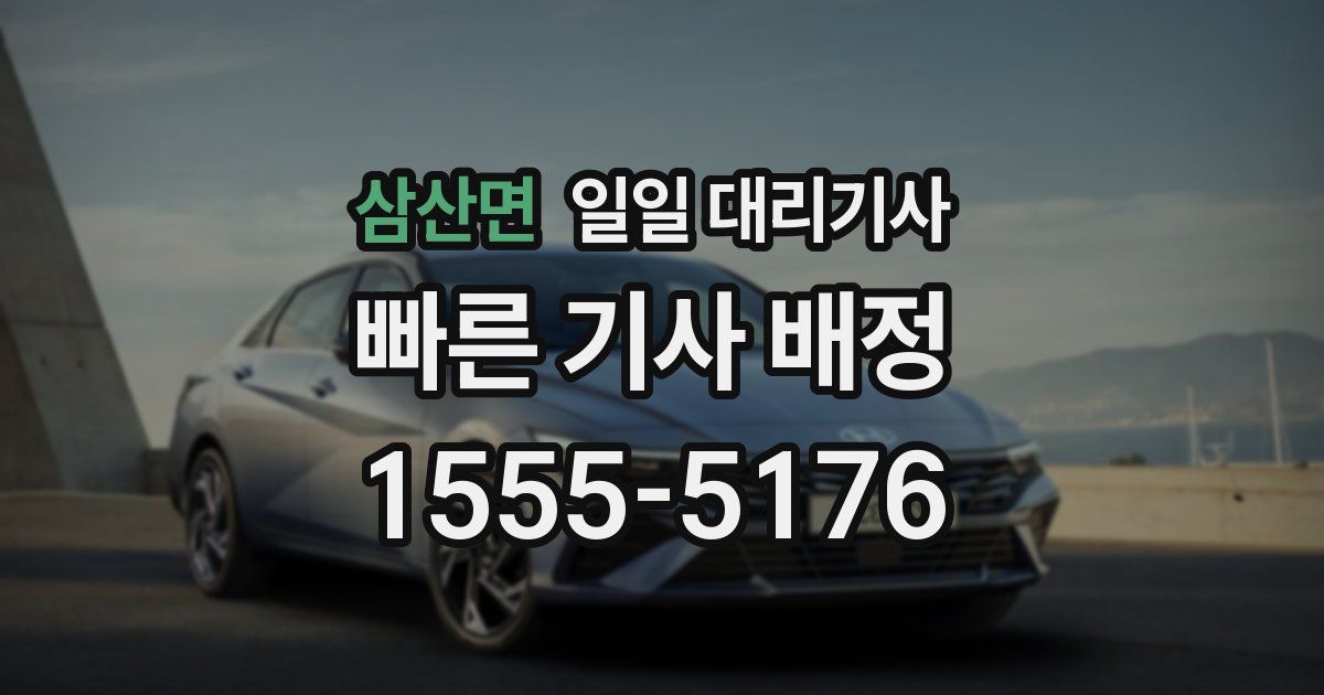 삼산면 일일 대리기사