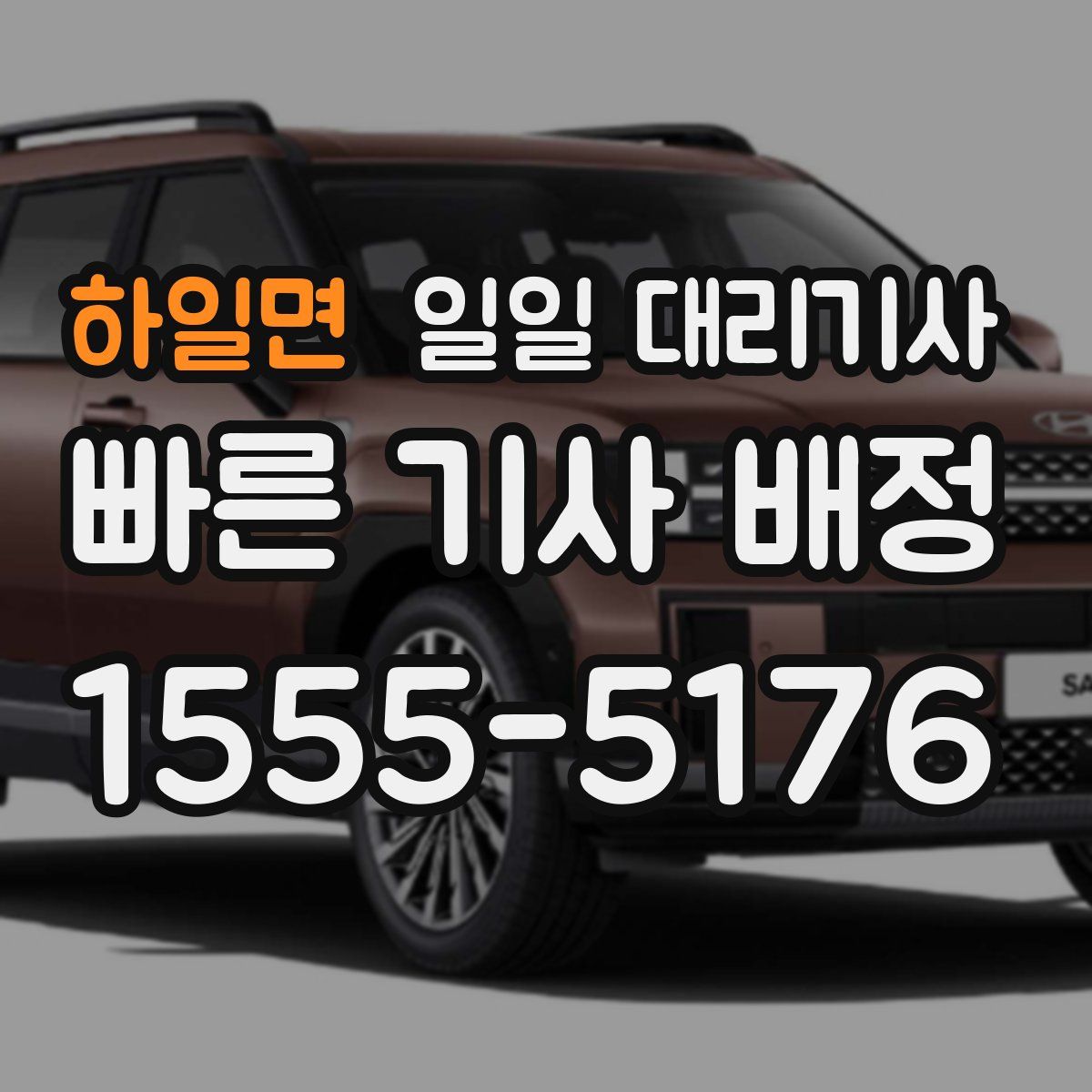 하일면 일일 대리기사