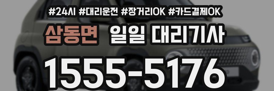 삼동면 일일 대리기사