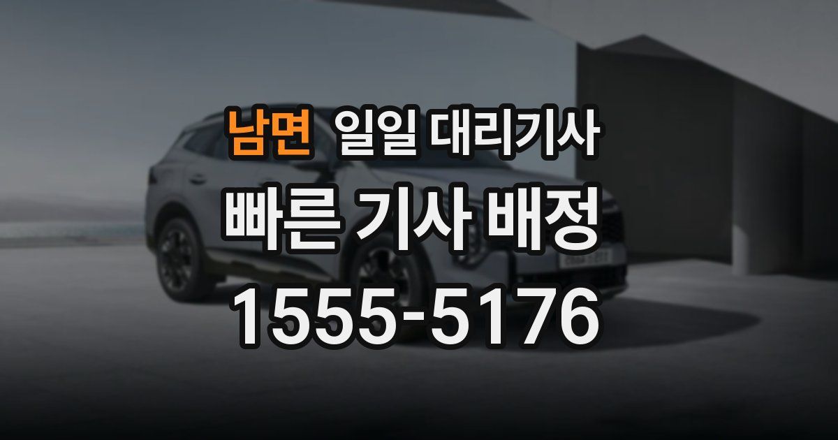 남면 일일 대리기사