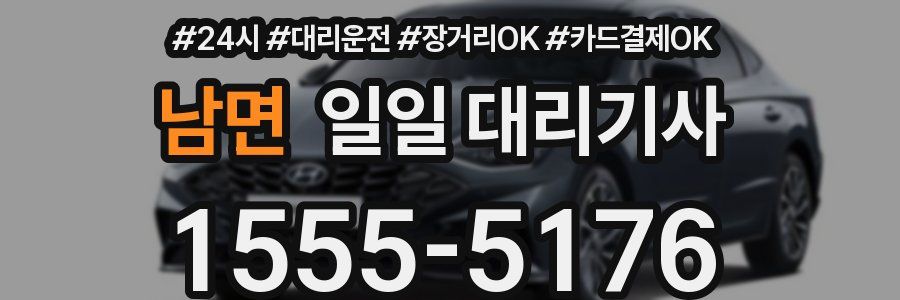 남면 일일 대리기사