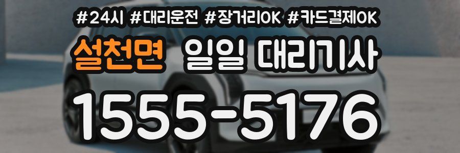 설천면 일일 대리기사