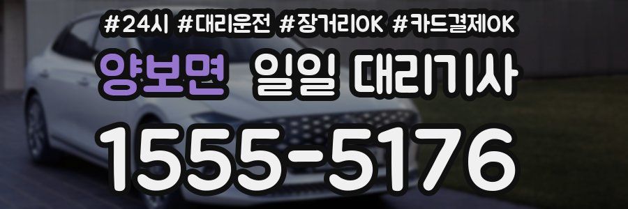 양보면 일일 대리기사
