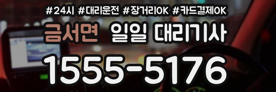 금서면 일일 대리기사