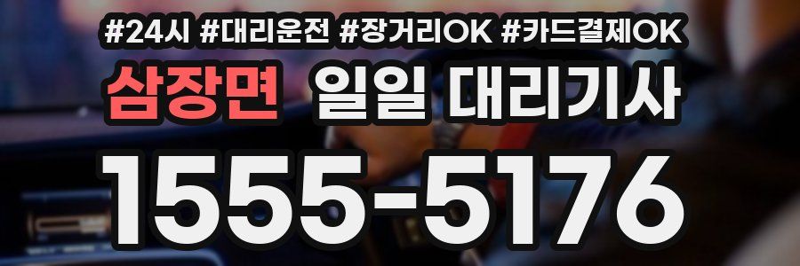 삼장면 일일 대리기사