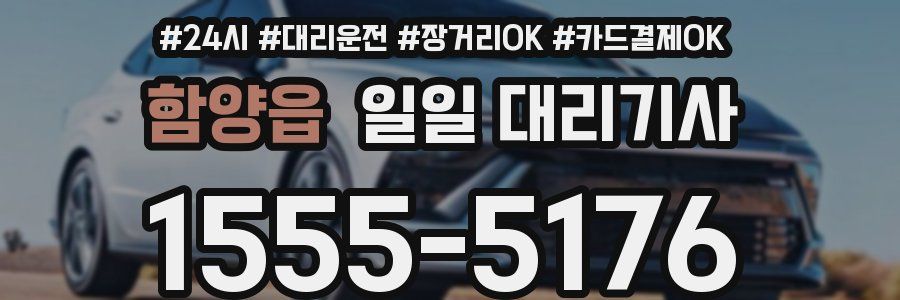 함양읍 일일 대리기사