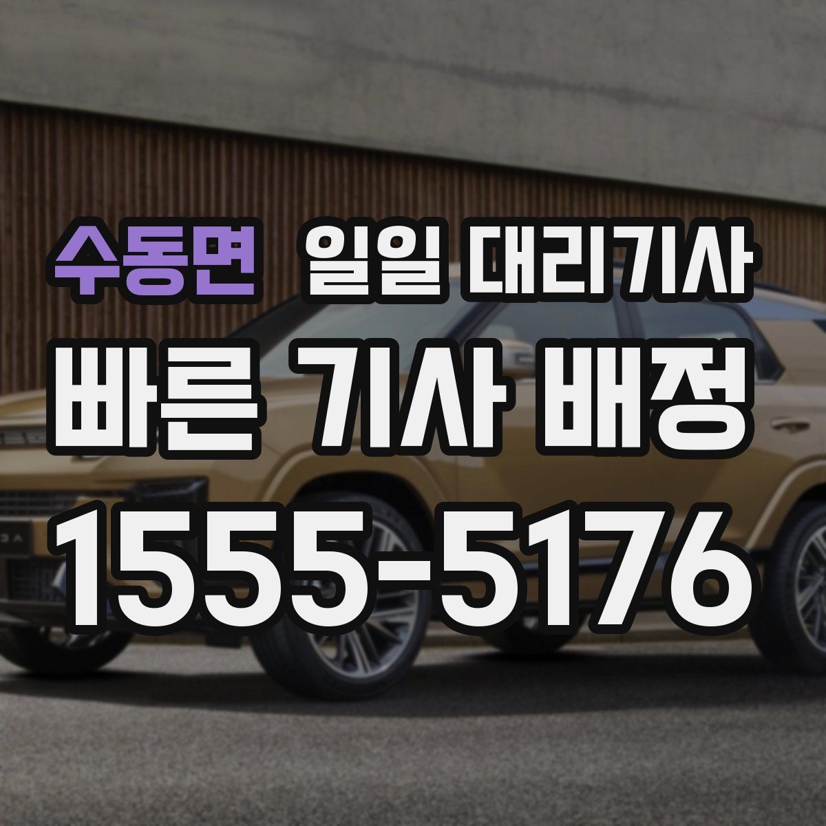 수동면 일일 대리기사