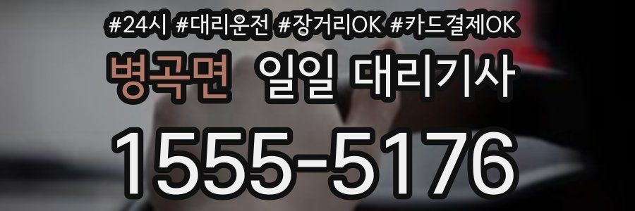 병곡면 일일 대리기사