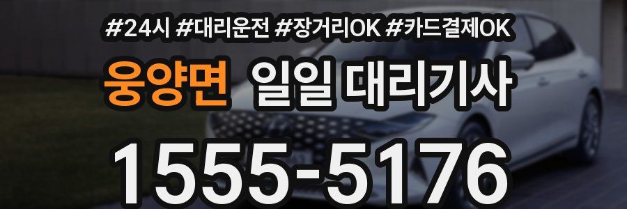 웅양면 일일 대리기사