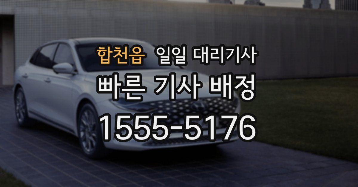합천읍 일일 대리기사
