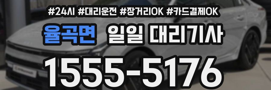 율곡면 일일 대리기사