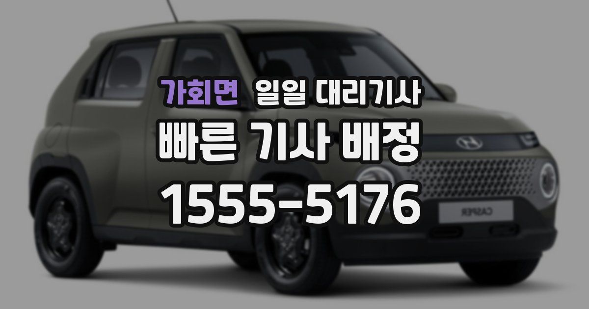 가회면 일일 대리기사