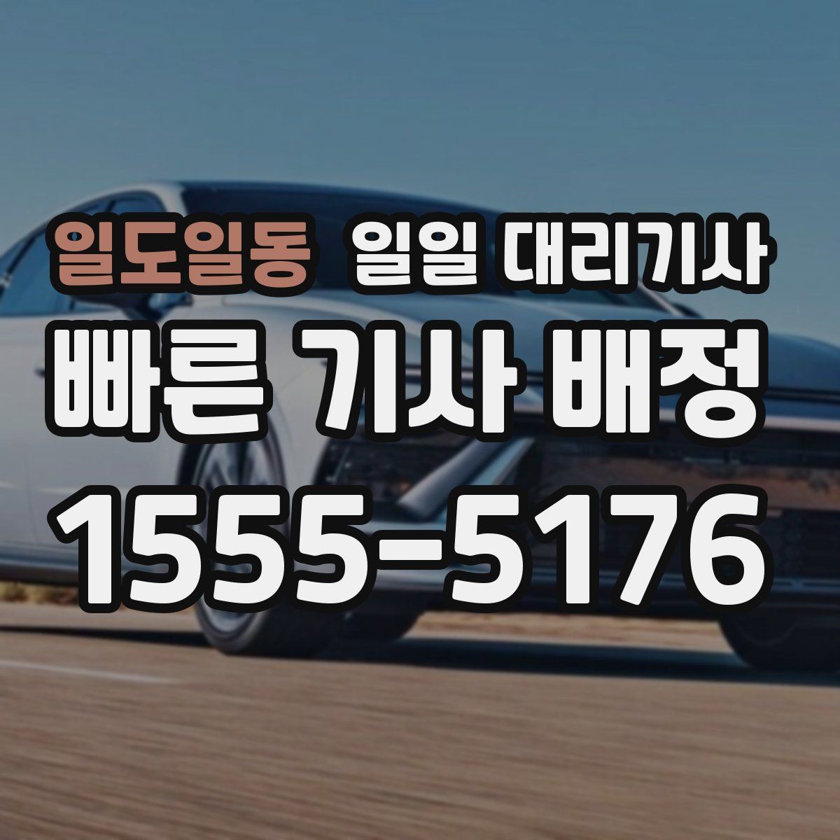 일도일동 일일 대리기사