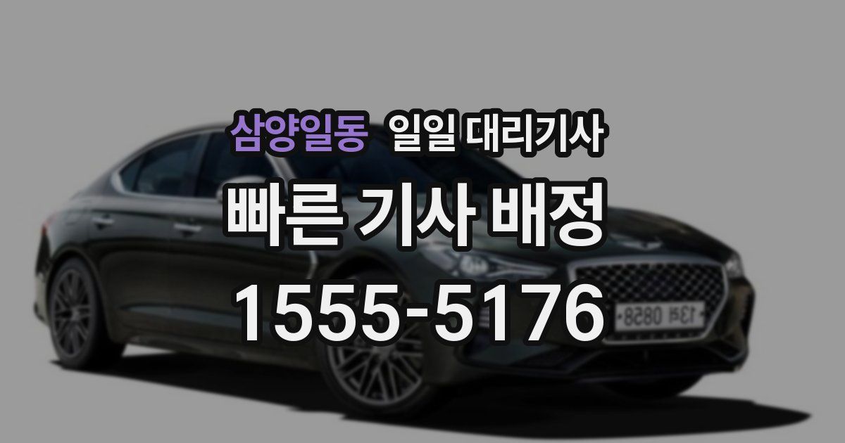 삼양일동 일일 대리기사